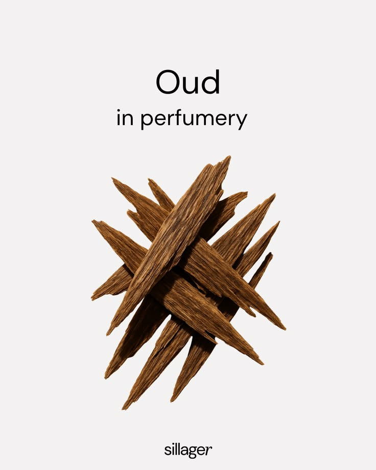 Oud