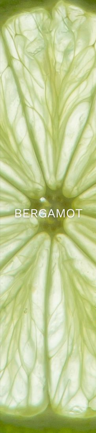 Bergamot
